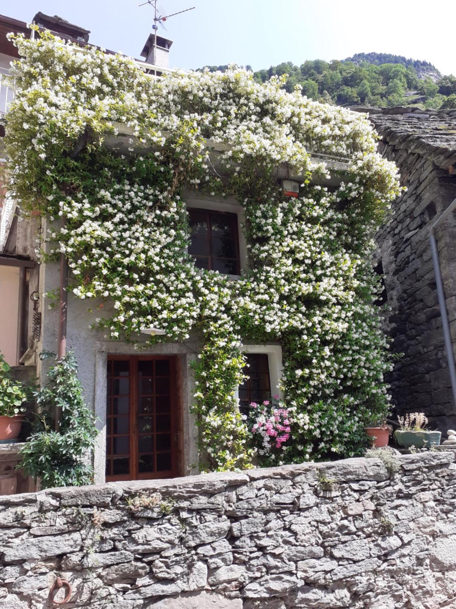 Tana Del Paradiso Baceno Exterior foto